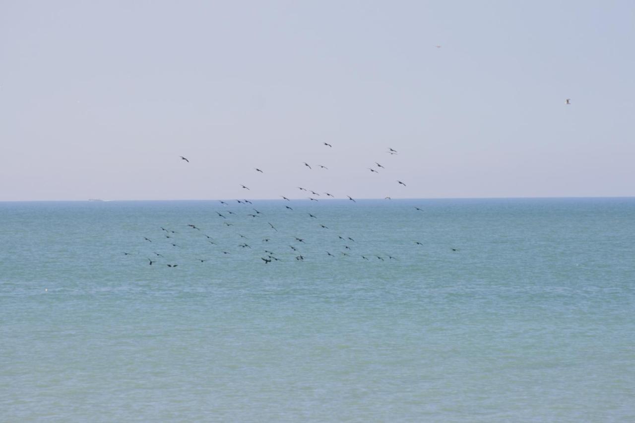 A Cote De La Mer О Экстерьер фото